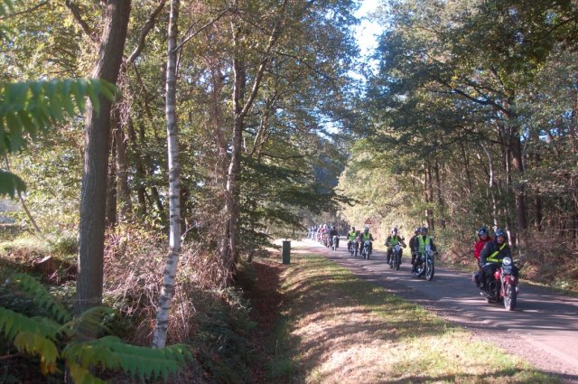 fotos okt.2011 034 custom